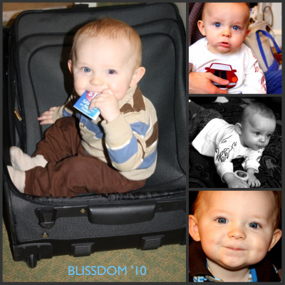 blissdom-collage blissdom-collage