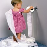 toilet-paper-toy
