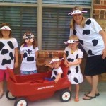 cows-3