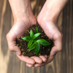 growing-hands